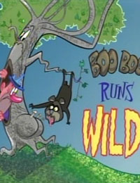 Boo Boo Runs Wild
